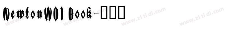 NewtonW01 Book字体转换